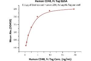 Image no. 1 for CD48 (CD48) (AA 27-220) (Active) protein (Fc Tag) (ABIN6253683)