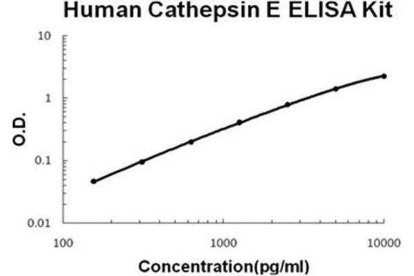 Cathepsin E ELISA 试剂盒