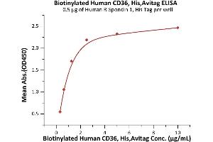 Image no. 1 for CD36 (CD36) (AA 30-439) (Active) protein (His tag,AVI tag,Biotin) (ABIN6972985)