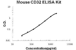 Image no. 1 for Fc Fragment of IgG, Low Affinity IIb, Receptor (CD32) (FCGR2B) ELISA Kit (ABIN2859328)