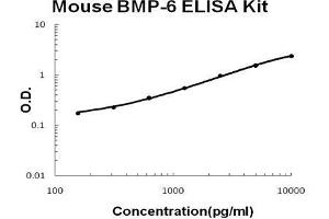 Image no. 1 for Bone Morphogenetic Protein 6 (BMP6) ELISA Kit (ABIN5510746)