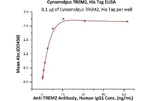 Immobilized Cynomolgus TREM2, His Tag (ABIN6973290) at 1 μg/mL (100 μL/well) can bind A Antibody, Human IgG1 with a linear range of 0.