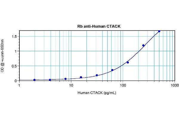 anti-Chemokine (C-C Motif) Ligand 27 (CCL27) antibody