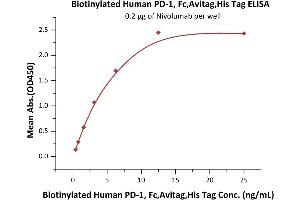 Immobilized Nivolumab at 2 μg/mL (100 μL/well) can bind Biotinylated Human PD-1, Fc,Avitag,His Tag (ABIN2181612,ABIN2181611) with a linear range of 0.