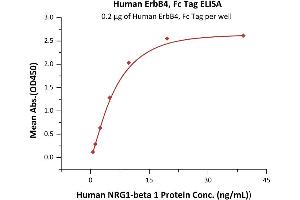 Immobilized Human ErbB4, Fc Tag (ABIN2181047,ABIN2181046) at 2 μg/mL (100 μL/well) can bind Human N 1 Protein with a linear range of 0.