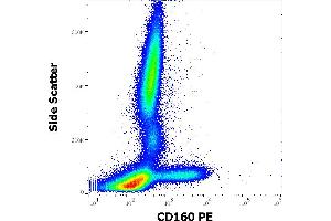 Image no. 1 for anti-CD160 (CD160) antibody (PE) (ABIN1981901)