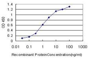 Anti Aff4 Antibody 1 108 Product No Abin