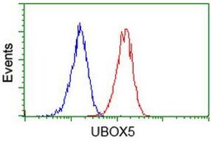 Image no. 3 for anti-U-Box Domain Containing 5 (UBOX5) (AA 1-130), (AA 419-487) antibody (ABIN1490569)