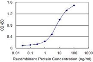 Image no. 2 for anti-Far Upstream Element (FUSE) Binding Protein 1 (FUBP1) (AA 1-653) antibody (ABIN522362)