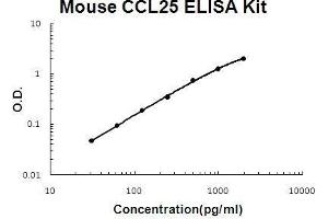 Image no. 1 for Chemokine (C-C Motif) Ligand 25 (CCL25) ELISA Kit (ABIN5510634)