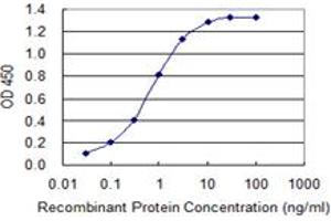 anti-Solute Carrier Family 7 (Cationic Amino Acid Transporter, Y+ System), Member 1 (SLC7A1) (AA 431-492) antibody