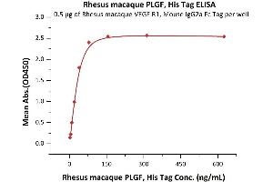 Image no. 1 for Placenta Growth Factor (PGF) (AA 19-170) (Active) protein (His tag) (ABIN5955014)