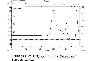 Image no. 5 for Thyroid Stimulating Hormone Receptor (TSHR) (AA 22-413) protein (His tag) (ABIN3134134)