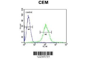 Image no. 1 for anti-Complement Factor H-Related 5 (CFHR5) (AA 203-231) antibody (ABIN651876)