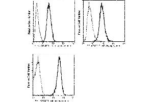 Image no. 2 for anti-ADAM Metallopeptidase Domain 15 (ADAM15) (AA 1-696) antibody (PE) (ABIN1997033)