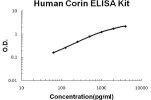 Image no. 1 for Corin, Serine Peptidase (CORIN) ELISA Kit (ABIN1889425)
