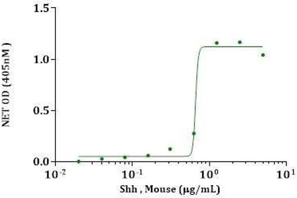 Sonic Hedgehog Protein (SHH) (AA 25-198, Cys25IleIle-Mutant)