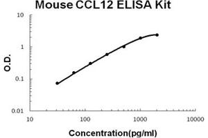 Image no. 1 for Chemokine (C-C Motif) Ligand 12 (Ccl12) ELISA Kit (ABIN1706079)