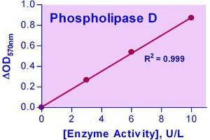 Biochemical Assay (BCA) image for Phospholipase D Assay Kit (ABIN1000328)