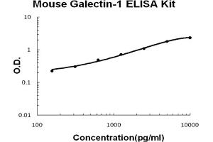 Image no. 1 for Lectin, Galactoside-Binding, Soluble, 1 (LGALS1) ELISA Kit (ABIN6720130)