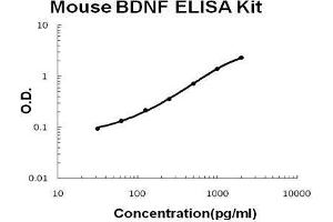 Brain-Derived Neurotrophic Factor (BDNF) ELISA Kit