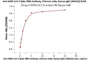 Image no. 4 for anti-SARS-CoV-2 Spike S1 antibody (ABIN6953206)