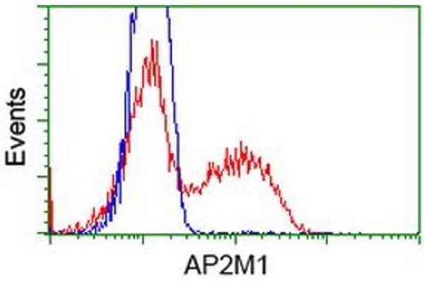 anti-Adaptor-Related Protein Complex 2, mu 1 Subunit (AP2M1) (AA 97-383) antibody
