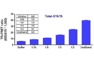 Image no. 2 for Total STAT6 TR-FRET Cellular Assay Kit (ABIN6938971)