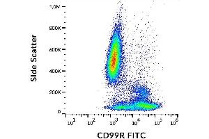 Image no. 1 for anti-CD99 (CD99) antibody (FITC) (ABIN94260)