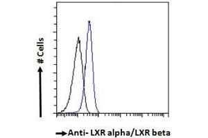 Image no. 3 for anti-Nuclear Receptor Subfamily 1, Group H, Member 2/3 (NR1H2/3) (Internal Region) antibody (ABIN185294)