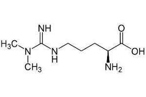 Image no. 2 for Asymmetrical Dimethylarginine (ADMA) peptide (BSA) (ABIN5665945)