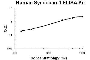 Image no. 1 for Syndecan 1 (SDC1) ELISA Kit (ABIN2859341)