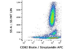 Image no. 1 for anti-CD82 (CD82) antibody (Biotin) (ABIN1981856)