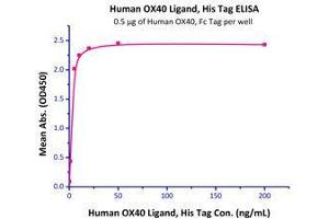 Immobilized Human OX40 Ligand, His Tag (Cat# OXL-H52Q8) at 5 μg/mL (100 μl/well) can bind Human OX40, Fc Tag (Cat# OX0-H5255 ) with a linear range of 0.