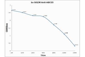 Image no. 2 for anti-ATP-Binding Cassette, Sub-Family G (WHITE), Member 5 (ABCG5) (AA 251-350) antibody (ABIN708371)