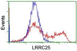 Image no. 1 for anti-Leucine Rich Repeat Containing 25 (LRRC25) antibody (ABIN2724908)
