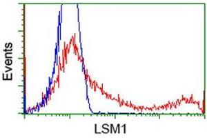 Image no. 1 for anti-LSM1 Homolog, U6 Small Nuclear RNA Associated (LSM1) (AA 1-133) antibody (ABIN2724971)