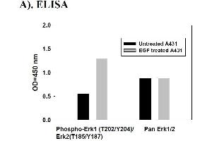 Image no. 1 for Mitogen-Activated Protein Kinase 1/3 (MAPK1/3) ELISA Kit (ABIN625226)