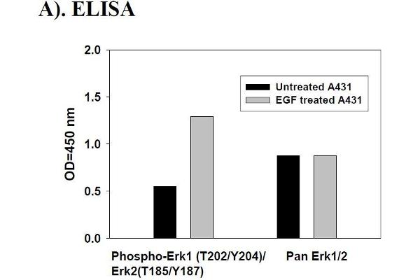 Mitogen-Activated Protein Kinase 1/3 (MAPK1/3) ELISA Kit