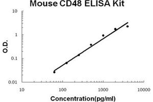 Image no. 1 for CD48 (CD48) ELISA Kit (ABIN1889451)