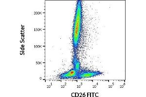 Image no. 1 for anti-Dipeptidyl-Peptidase 4 (DPP4) antibody (FITC) (ABIN457336)
