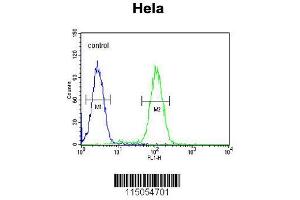 Image no. 2 for anti-HRAS-Like Suppressor 3 (PLA2G16) (AA 104-132), (C-Term) antibody (ABIN651933)