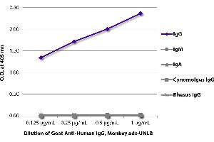 Image no. 1 for Pig anti-Goat IgG (Heavy & Light Chain) antibody (HRP) (ABIN376329)