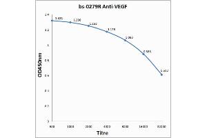 Image no. 1 for anti-Vascular Endothelial Growth Factor (VEGF) (AA 27-120) antibody (ABIN727205)
