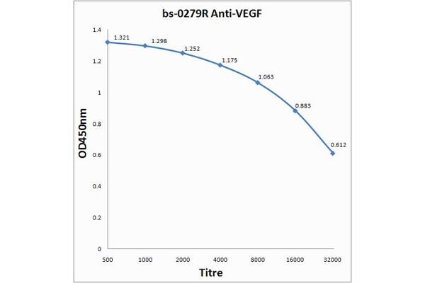 VEGF antibody  (AA 27-120)