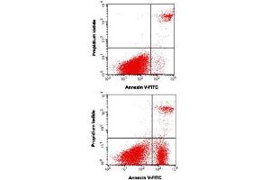 Flow Cytometry (FACS) image for Annexin V-FITC/PI Apoptosis Kit (ABIN5596086)