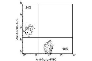 Image no. 1 for anti-T Cell Receptor beta Chain (TCRb) antibody (FITC) (ABIN5589280)