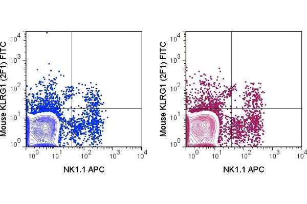 anti-Killer Cell Lectin-Like Receptor Subfamily G, Member 1 (KLRG1) antibody (FITC)