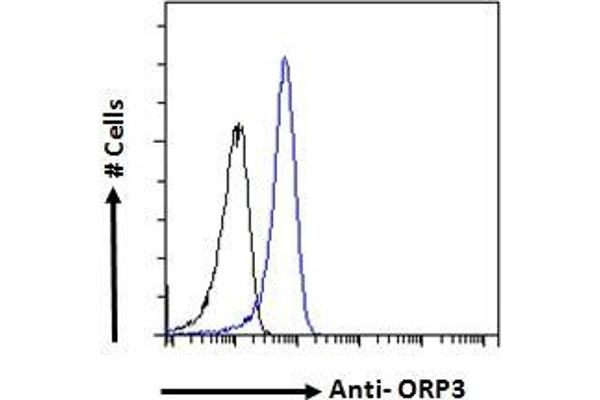 OSBPL3 anticorps  (N-Term)