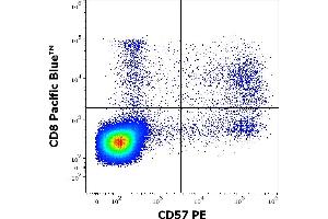 Flow cytometry multicolor surface staining of human lymphocytes stained using anti-human CD57 (TB01) PE antibody (10 μL reagent / 100 μL of peripheral whole blood) and anti-human CD8 (MEM-31) Pacific Blue™ antibody (4 μL reagent / 100 μL of peripheral whole blood).